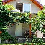Kestenovac Holiday home Orasac