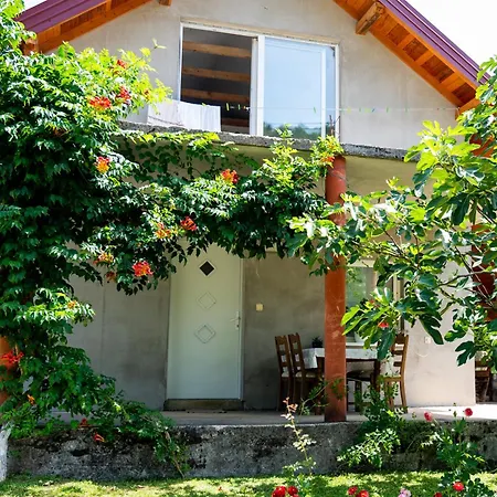Kestenovac Casa de Férias Orasac